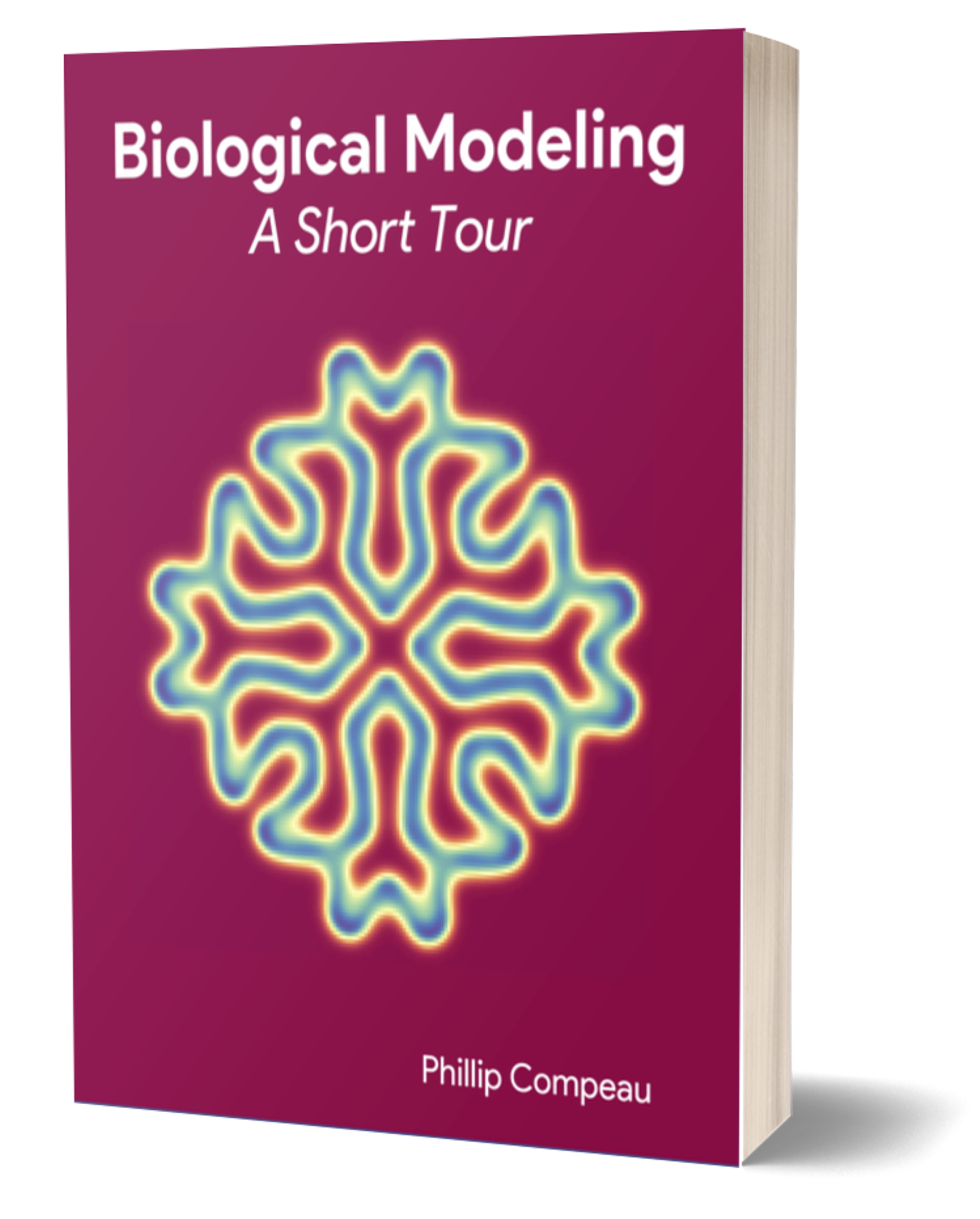 Biological Modeling book cover
